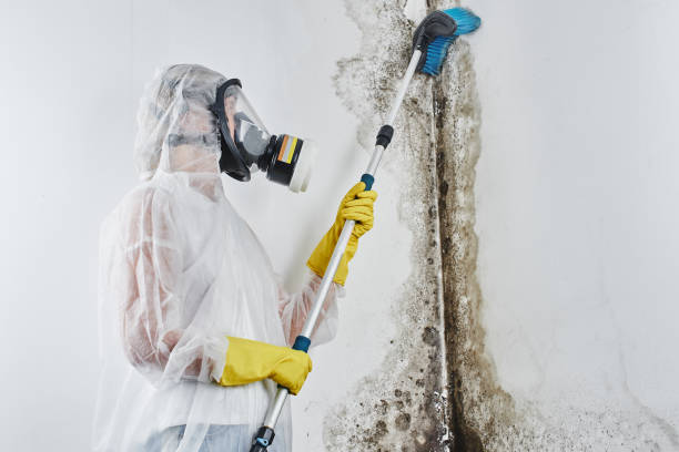 Water Damage Restoration in Lansing, KS