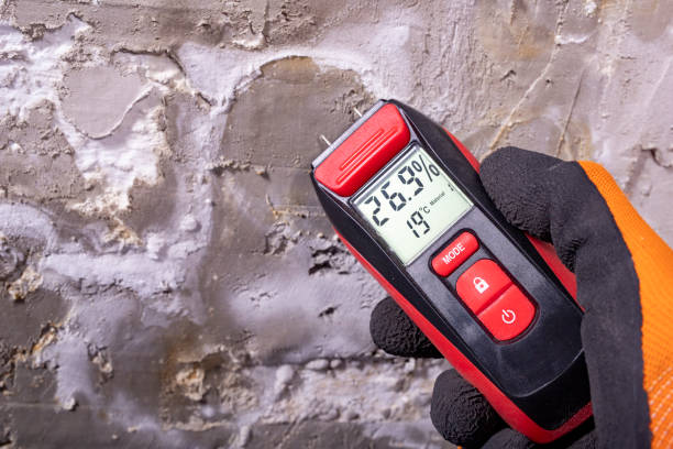 Best Home Mold Removal  in Lansing, KS