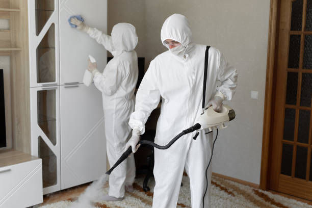 Best Crawl Space Mold Removal  in Lansing, KS