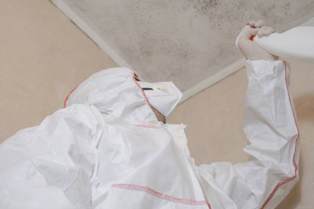 Best Commercial Mold Removal  in Lansing, KS
