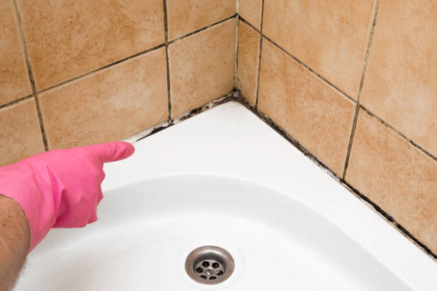 Best Water Damage Restoration  in Lansing, KS
